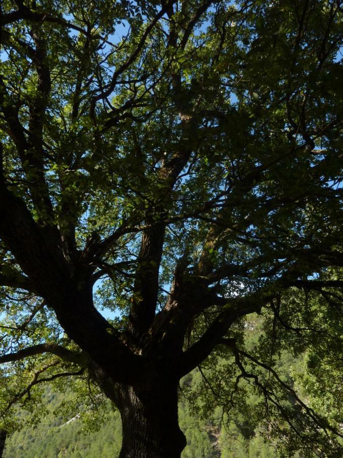 Appartamento El Molino Castejón de Sos Esterno foto